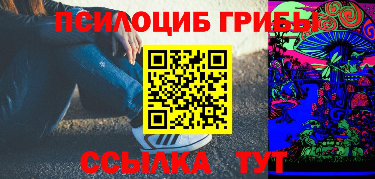 Галлюциногенные грибы Psilocybe  Вход с VPN  Ейск  Псилоцибиновые грибы Cubensis 